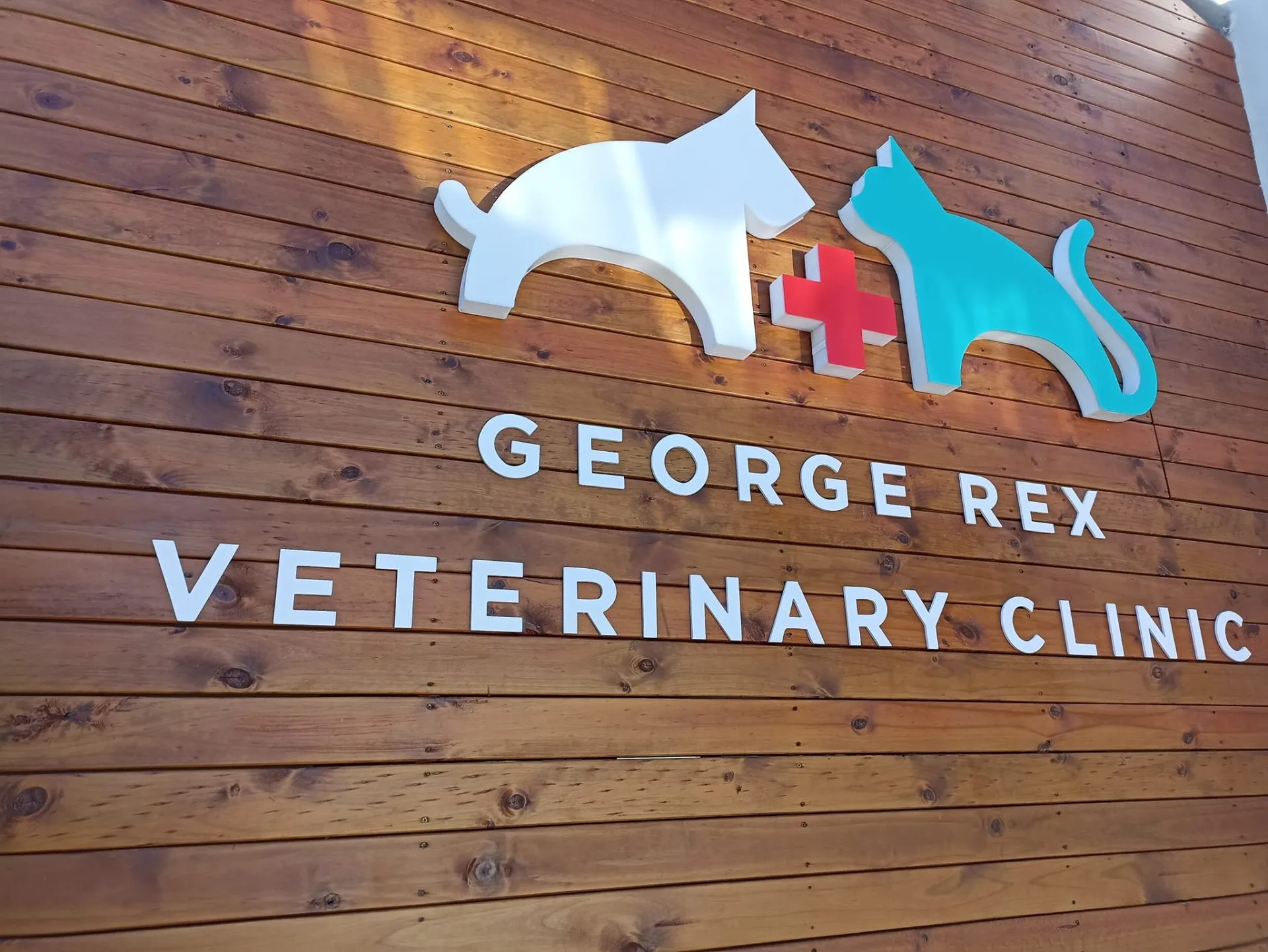 George Rex Veterinary Clinic — Daytime