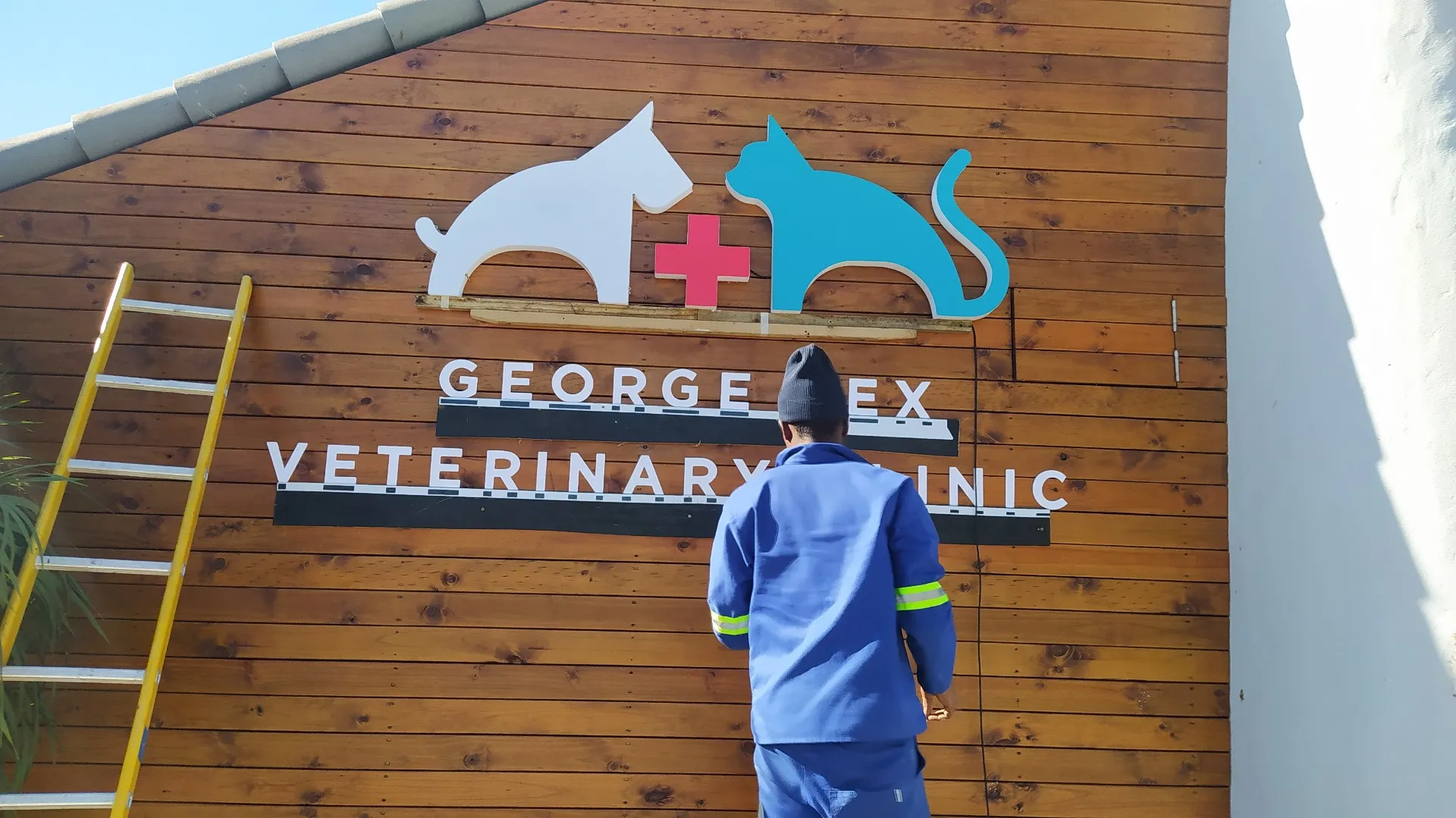 George Rex Veterinary Clinic — Installation in Progress