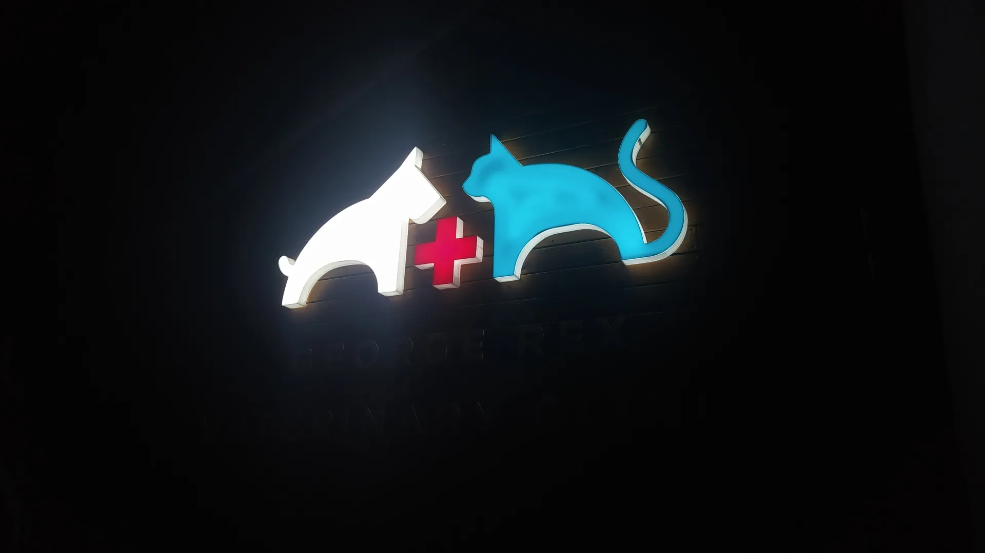 George Rex Veterinary Clinic — Illuminated at Night