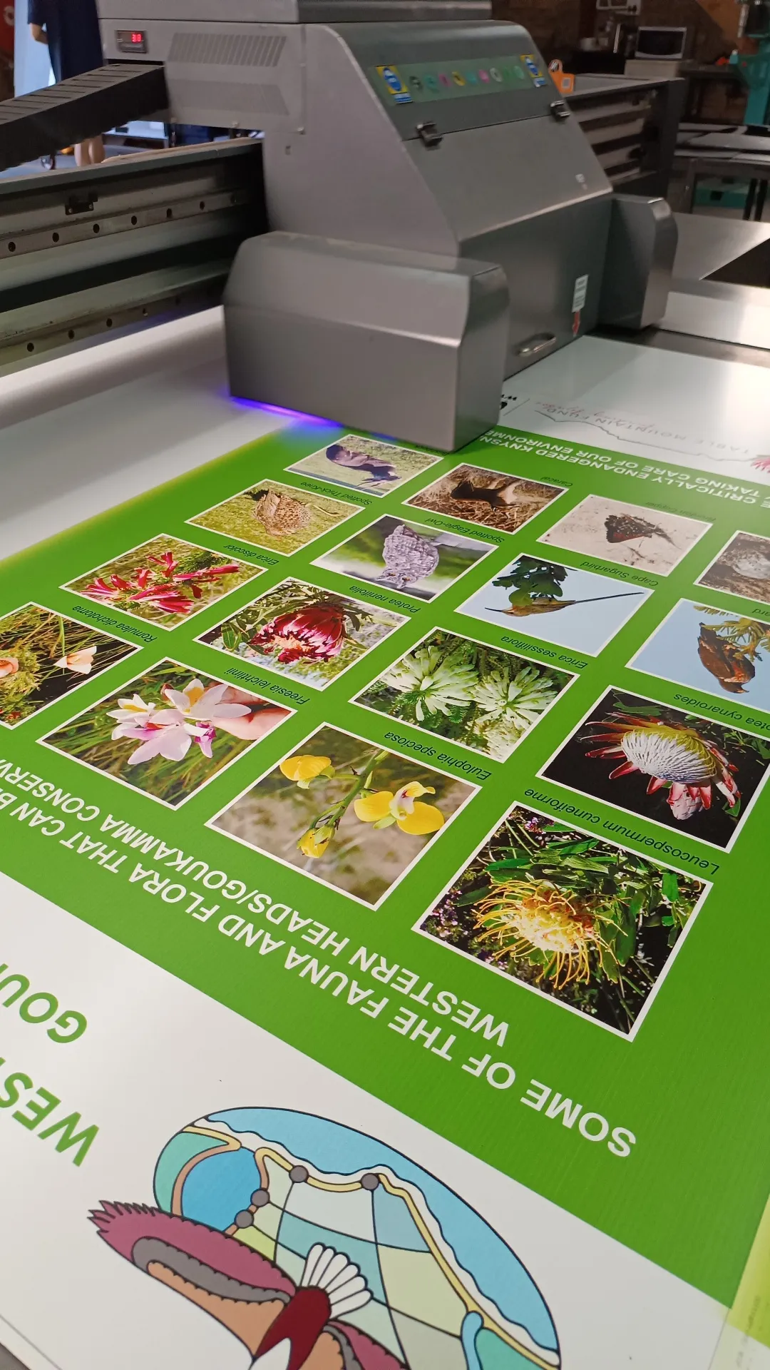 Goukamma Educational Signage Print
